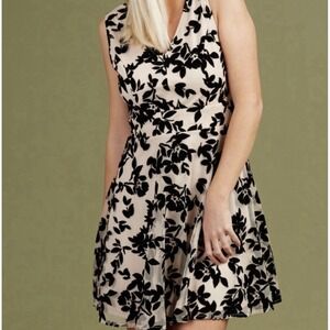 Altar'd State Sz S Dress Mesa Marina Nude Black Burn Out Velvet Fit Flare V-Neck